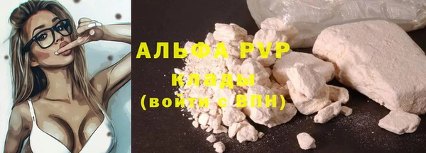 spice Арсеньев